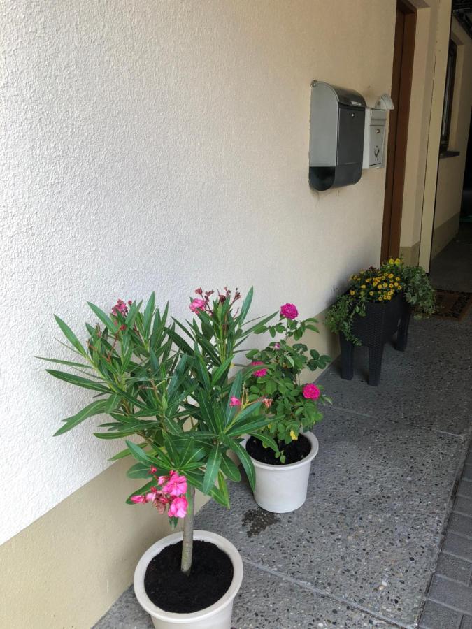 Ferienwohnung Am Gaessle Ettenheim Exterior photo